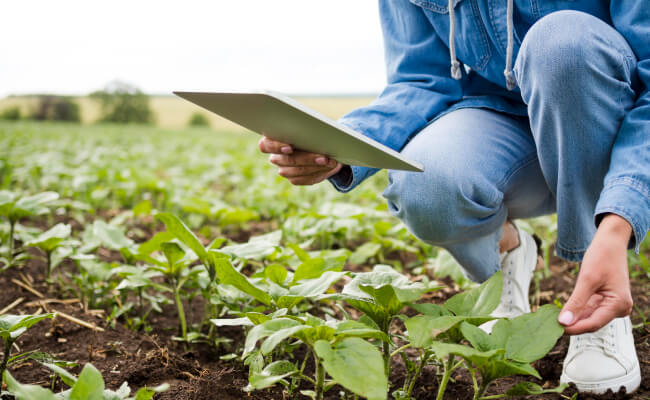 agribusiness financing